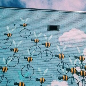 Meet your Posher, Sunflower